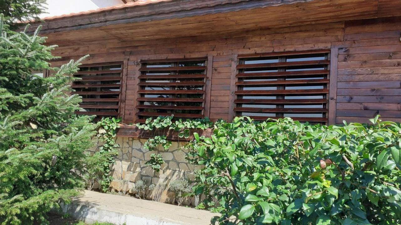 Guesthouse Dida Saparewa Banja Zewnętrze zdjęcie