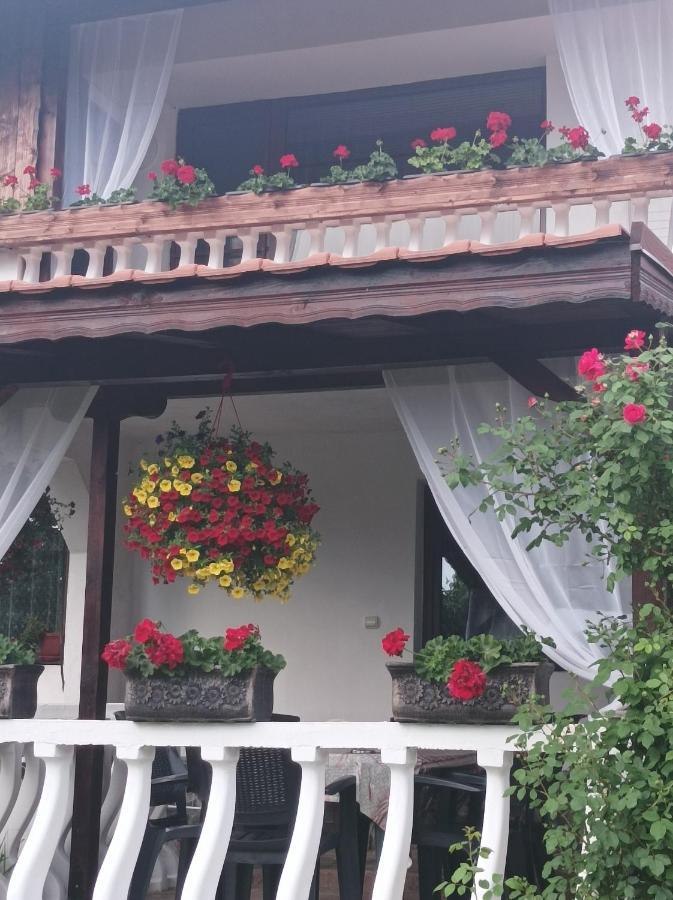 Guesthouse Dida Saparewa Banja Zewnętrze zdjęcie