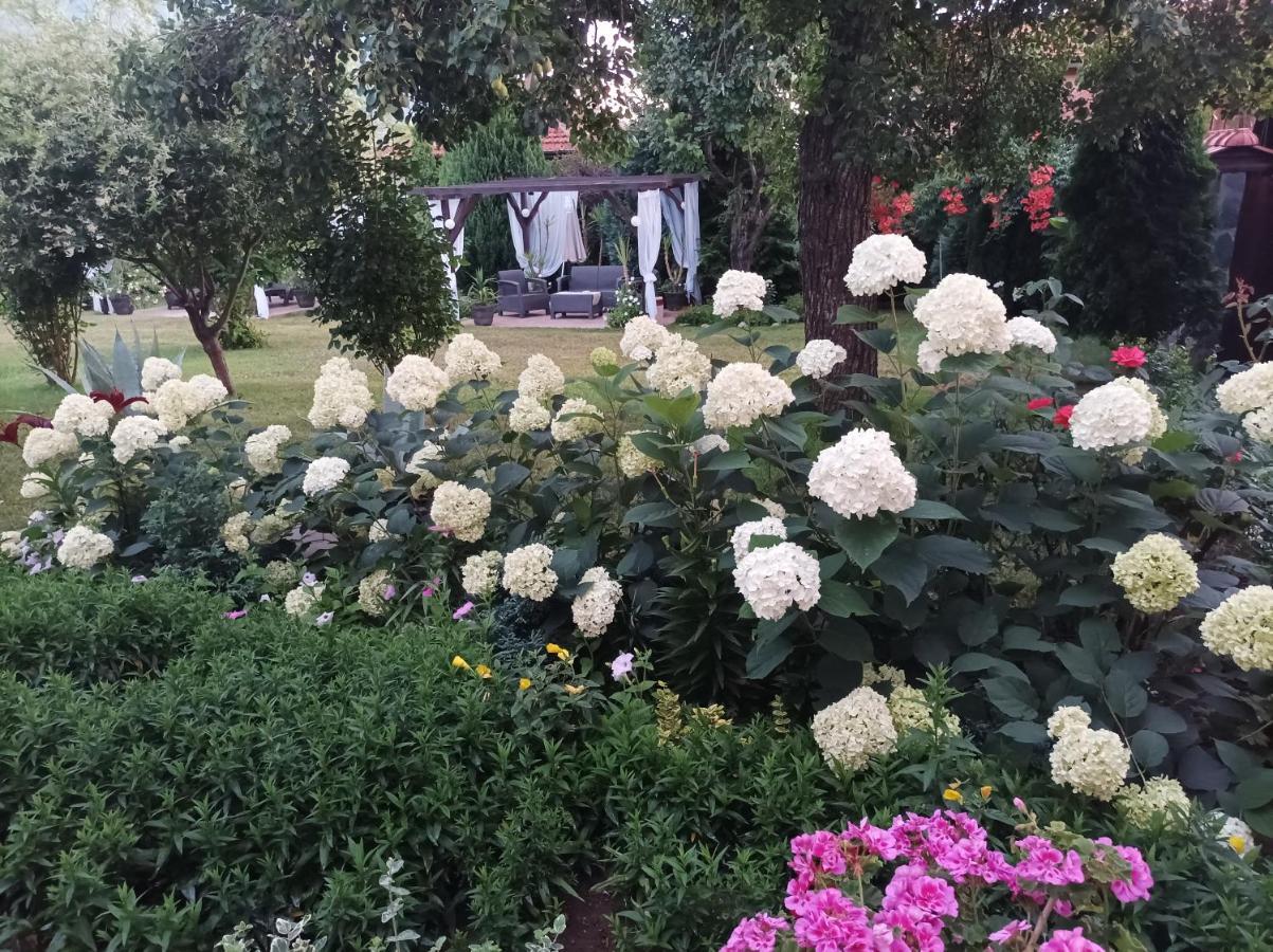 Guesthouse Dida Saparewa Banja Zewnętrze zdjęcie